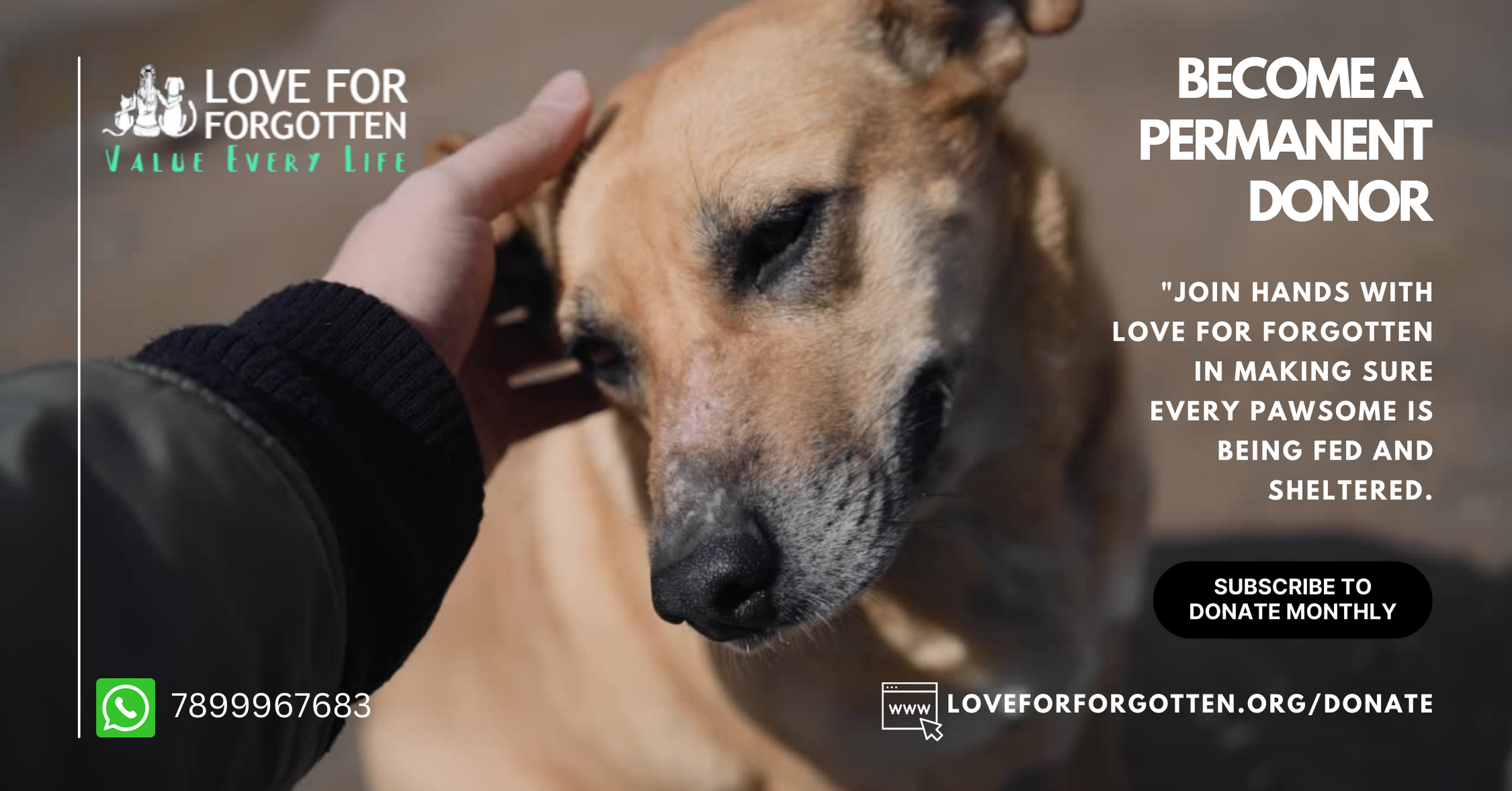 Donate To Forgotten To Loved